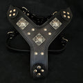 Die "Eros" alle Black Harness