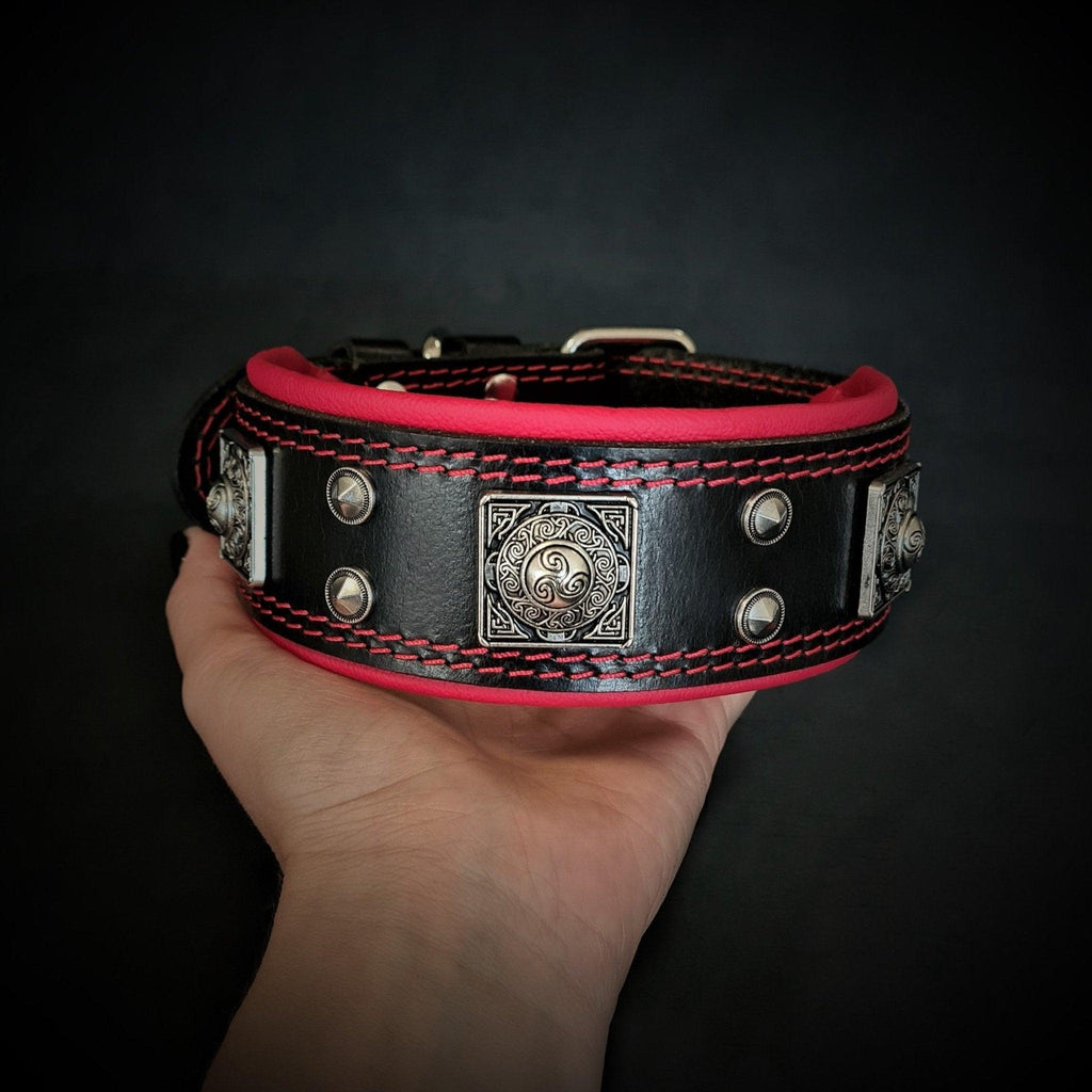 The "Eros" collar 2 inch wide fuer Hunde und Katzen - Bild 2