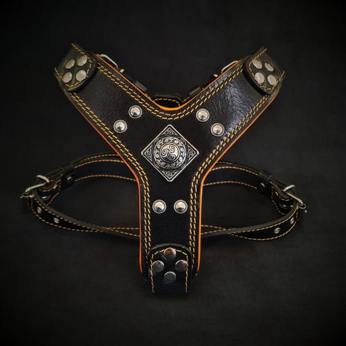 The ''Eros'' harness Black & Orange Small to Medium Size fuer Hunde und Katzen - Bild 1