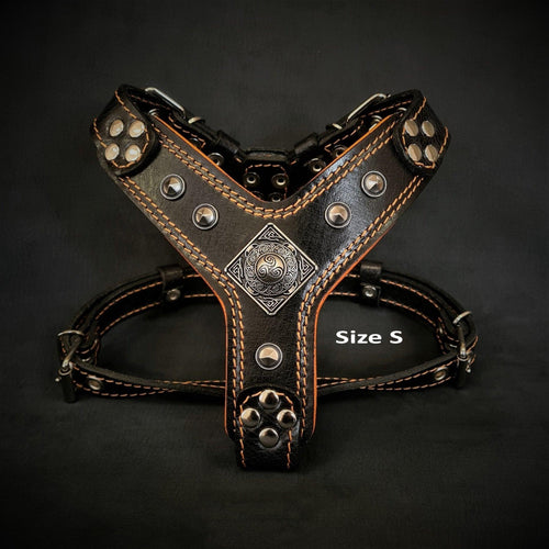 The ''Eros'' harness Black & Orange Small to Medium Size fuer Hunde und Katzen - Bild 2