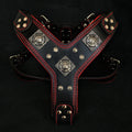 The "Eros" harness black & red pour chiens