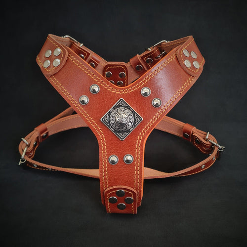 The ''Eros'' harness brown Small to Medium Size fuer Hunde - Bild 1