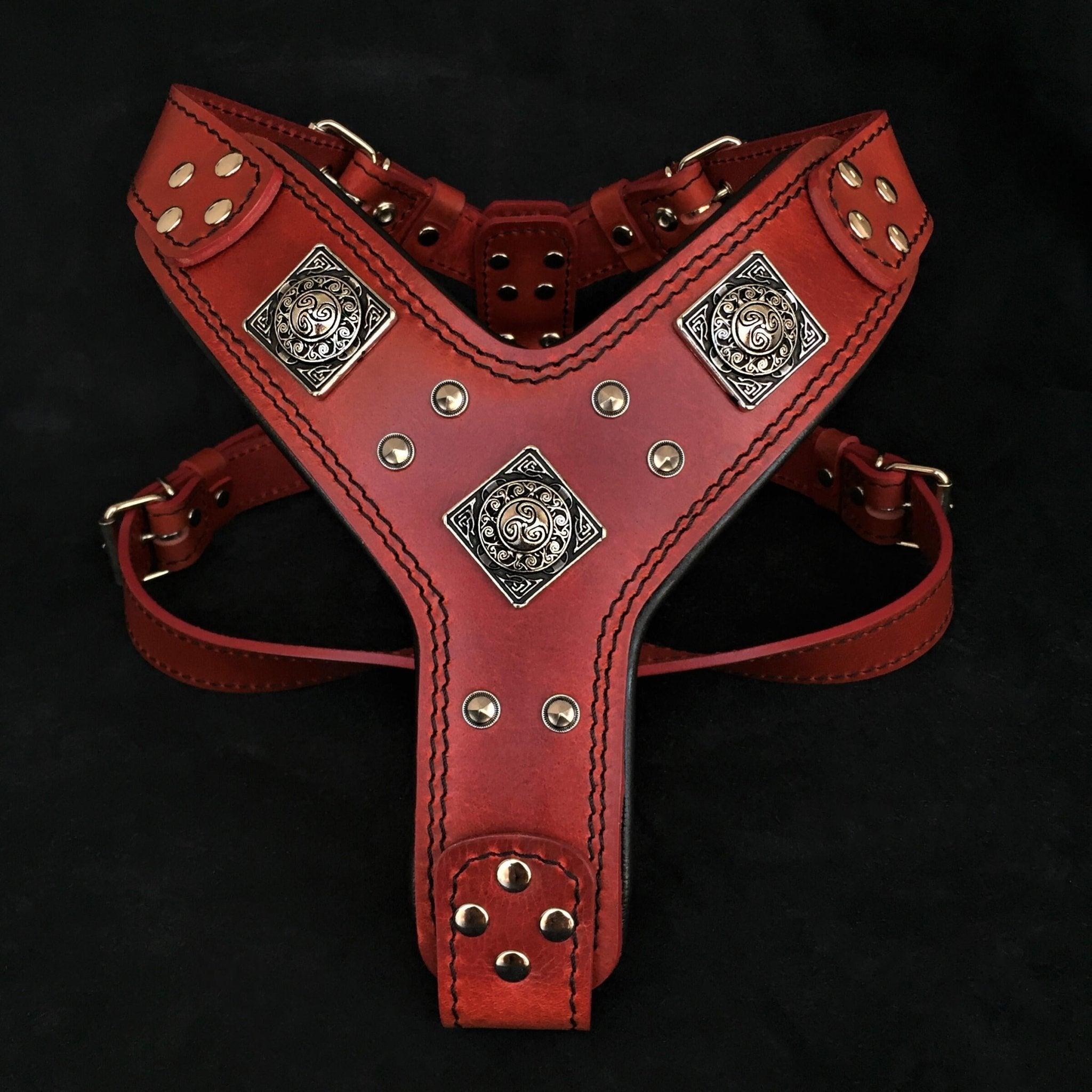 Le harnais "Eros" RED