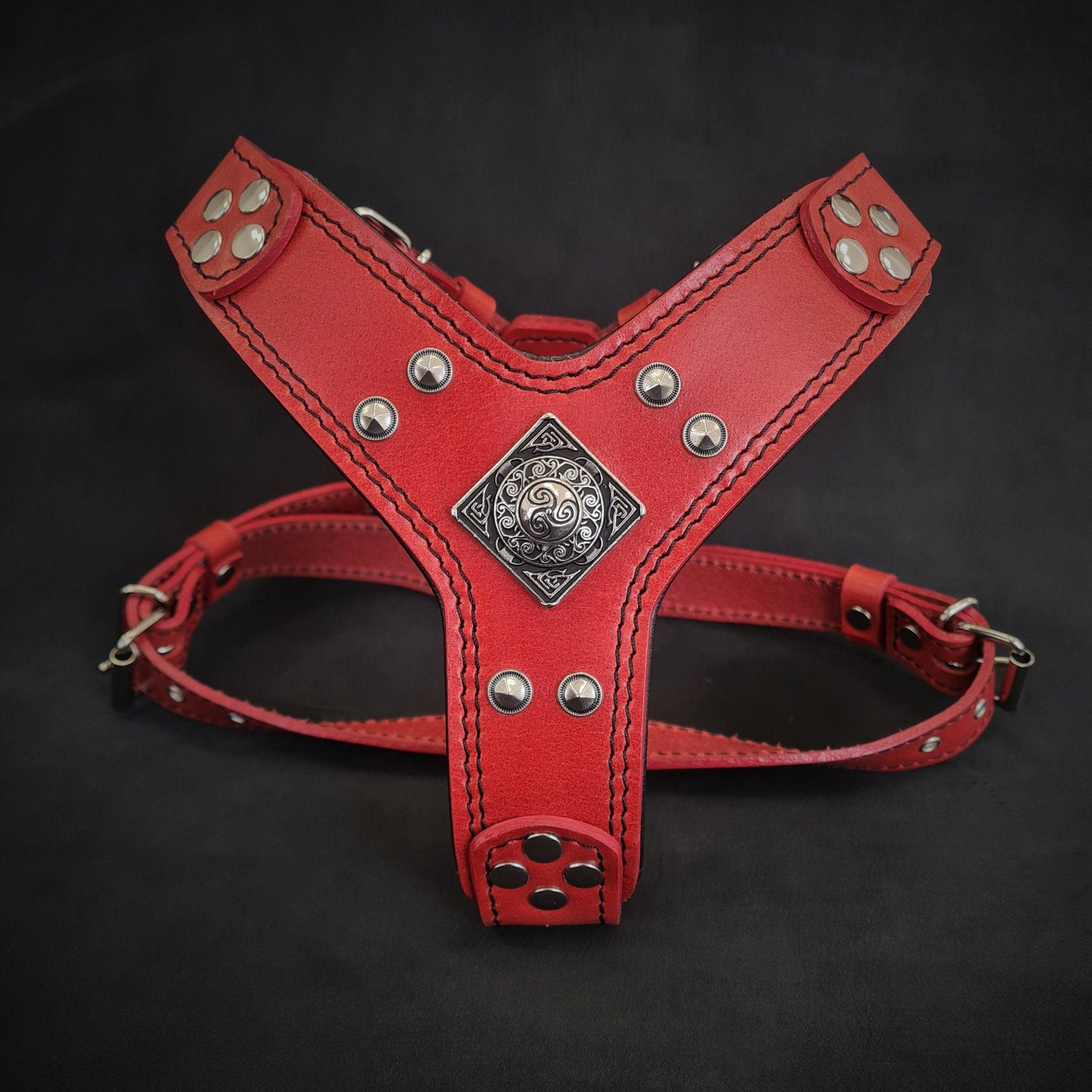 The ''Eros'' harness red Small to Medium Size pour chiens