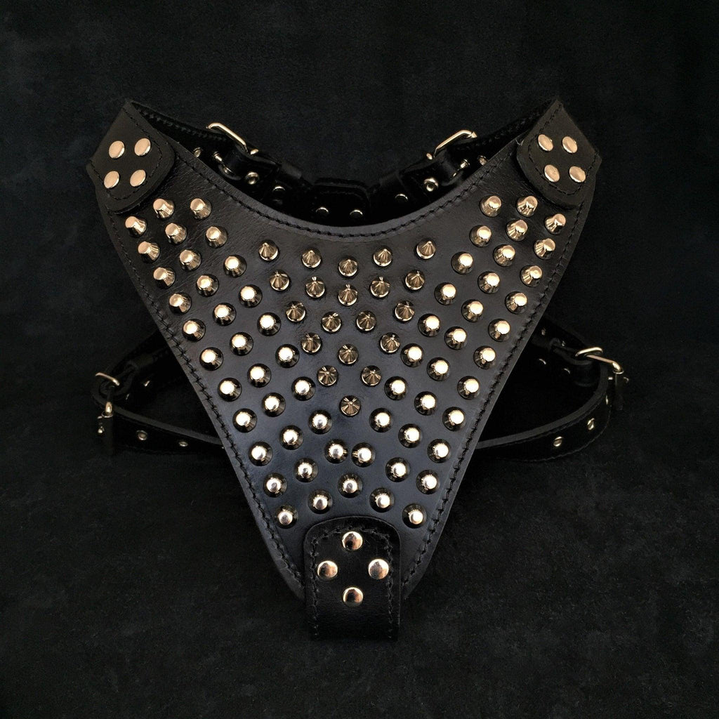 The "Gladiator" harness for dogs