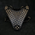 The "Gladiator" harness for dogs
