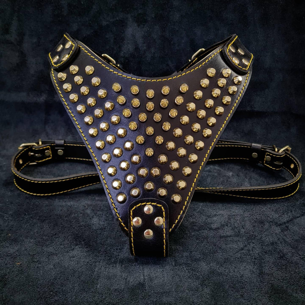The "Gladiator" harness Gold/Silver para perros