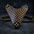 The "Gladiator" harness Gold/Silver para perros