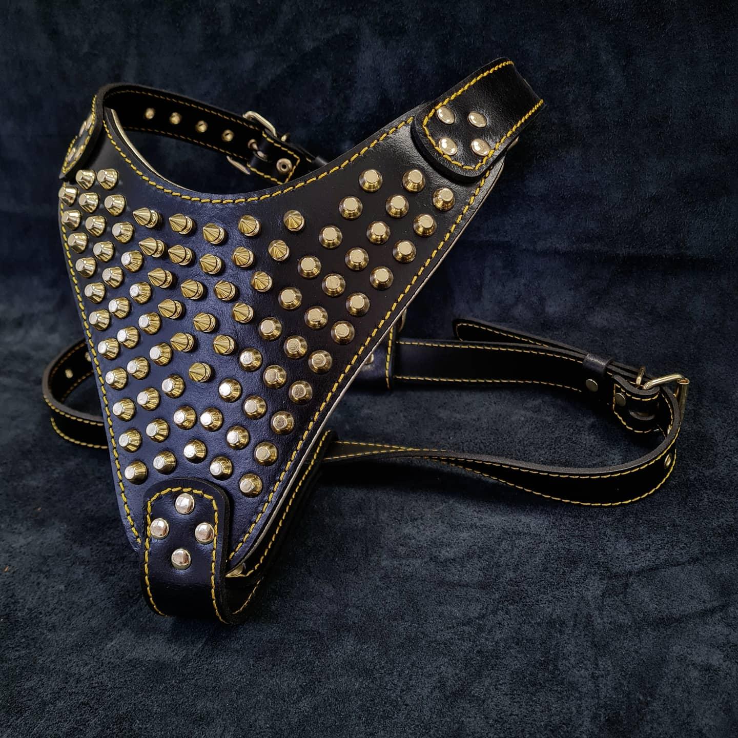 The "Gladiator" harness Gold/Silver para perros