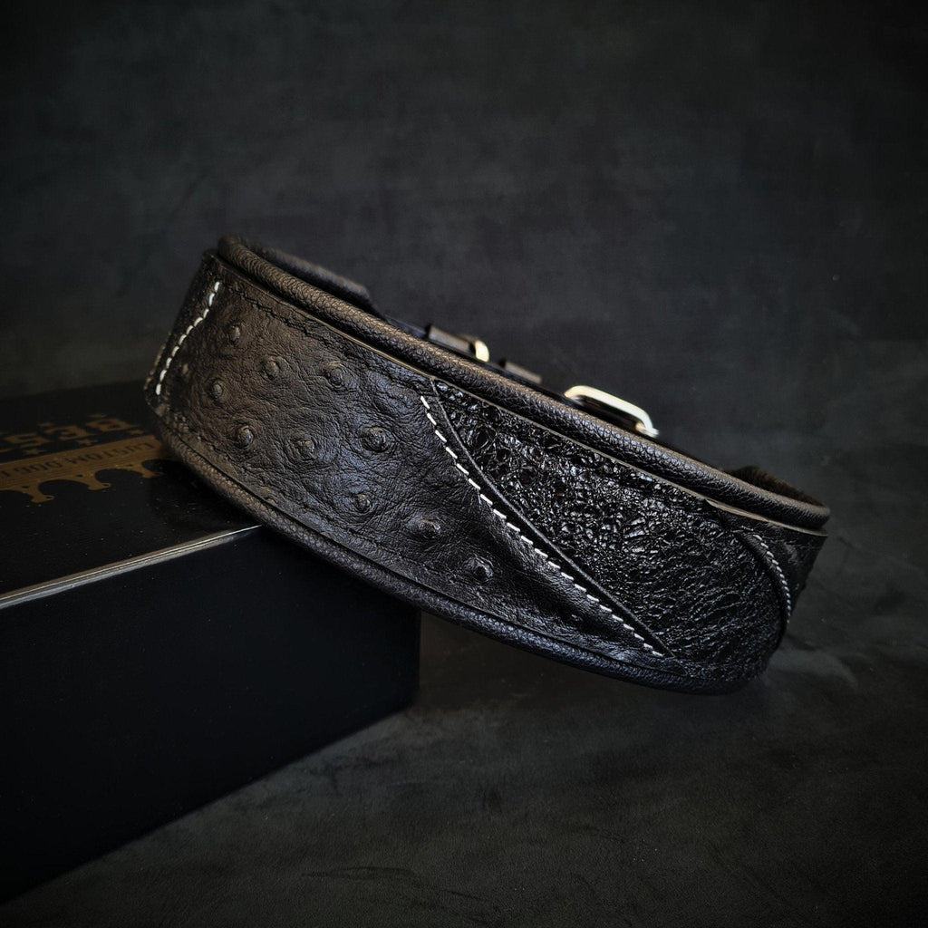 Das "Korona" Halsband BLACK EDITION