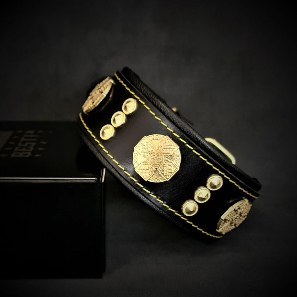 Der "Maximus" Kragen 2 Zoll breite Golddekoration