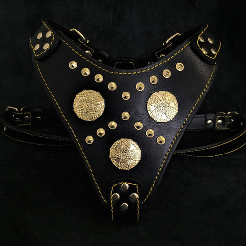 The "Maximus" harness black & gold for dogs - image 1