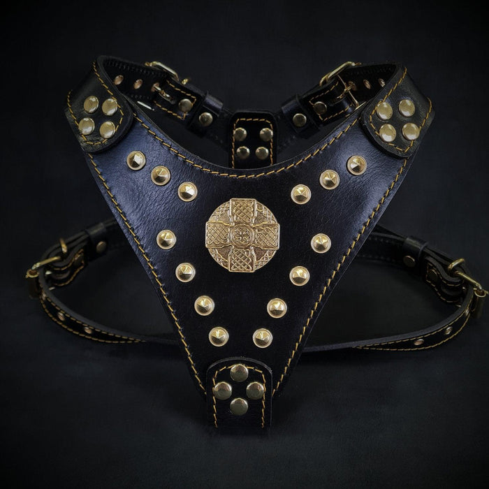 Le harnais ''Maximus'' Noir & Or Petite à Moyenne Taille