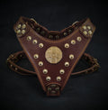 El arnés ''Maximus'' Brown & Gold Small to Medium Size