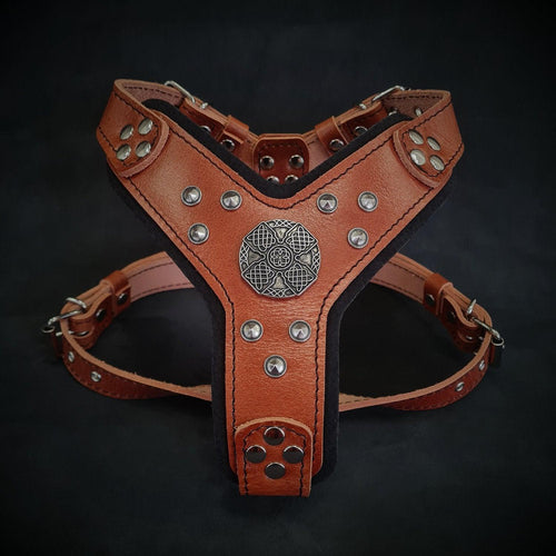 Arnés Maximus marrón y plateado para perros