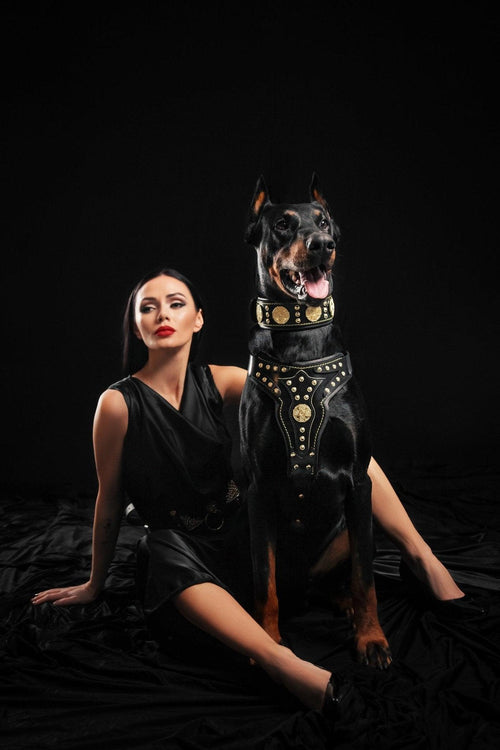 Arnés Maximus para perros, vista 2