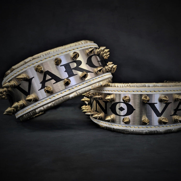 Collar Metal personalizado blanco y dorado para perros