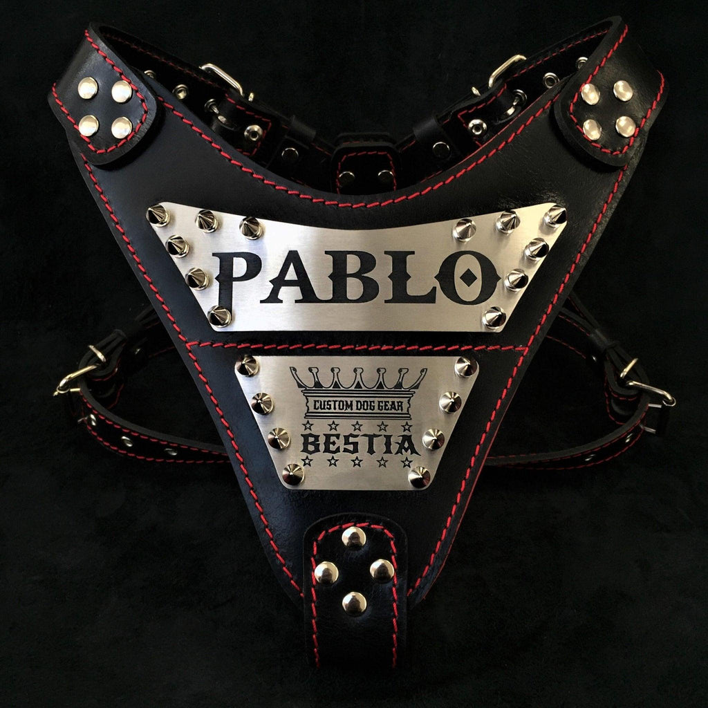 The "Metal" harness- Personalized! para perros