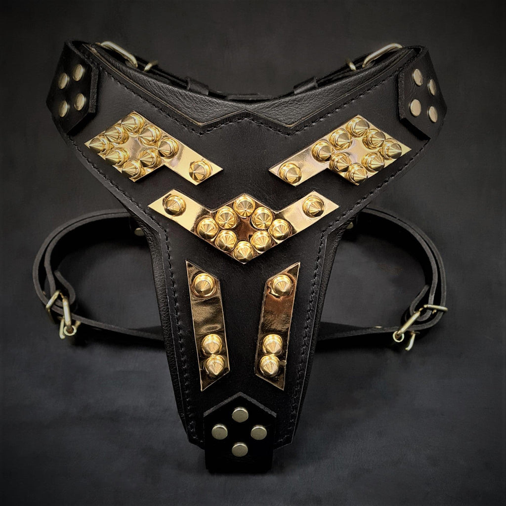 Harnais Midas cuir pour chiens