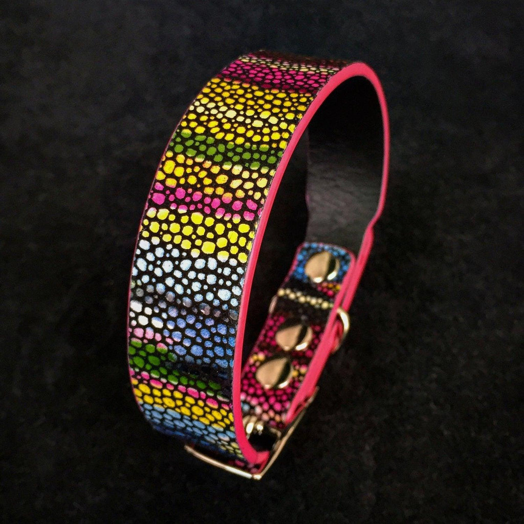 The "Moby" puppy collar per cani e gatti - immagine 1