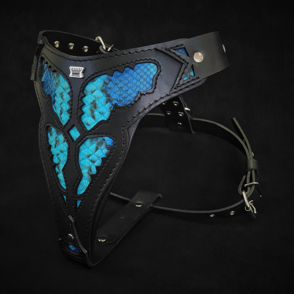Le harnais ''Morelia Python''