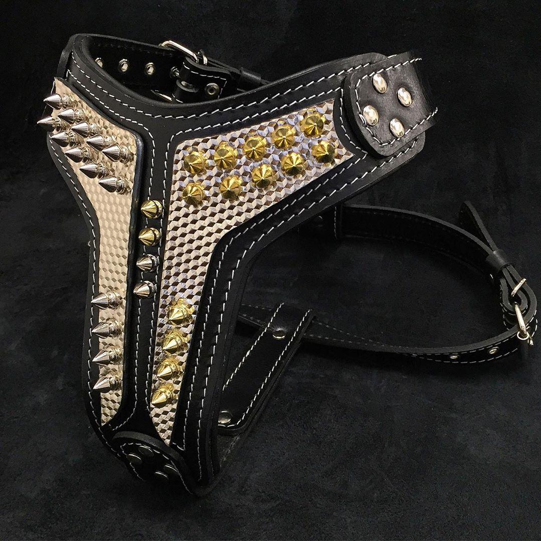 El arnés ''Platinum'