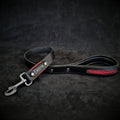 The ''Red Dragon'' leash fuer Hunde und Katzen - Bild 1