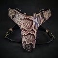 The ''Rock Python'' harness Small to Medium Size for dogs