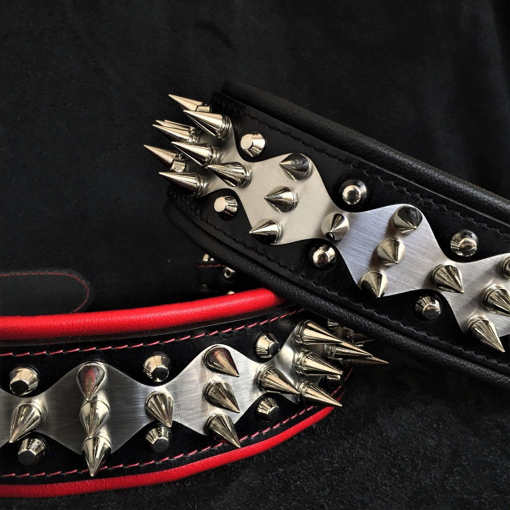 The "Steel" collar for dogs and cats