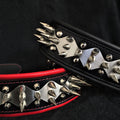 The "Steel" collar for dogs and cats