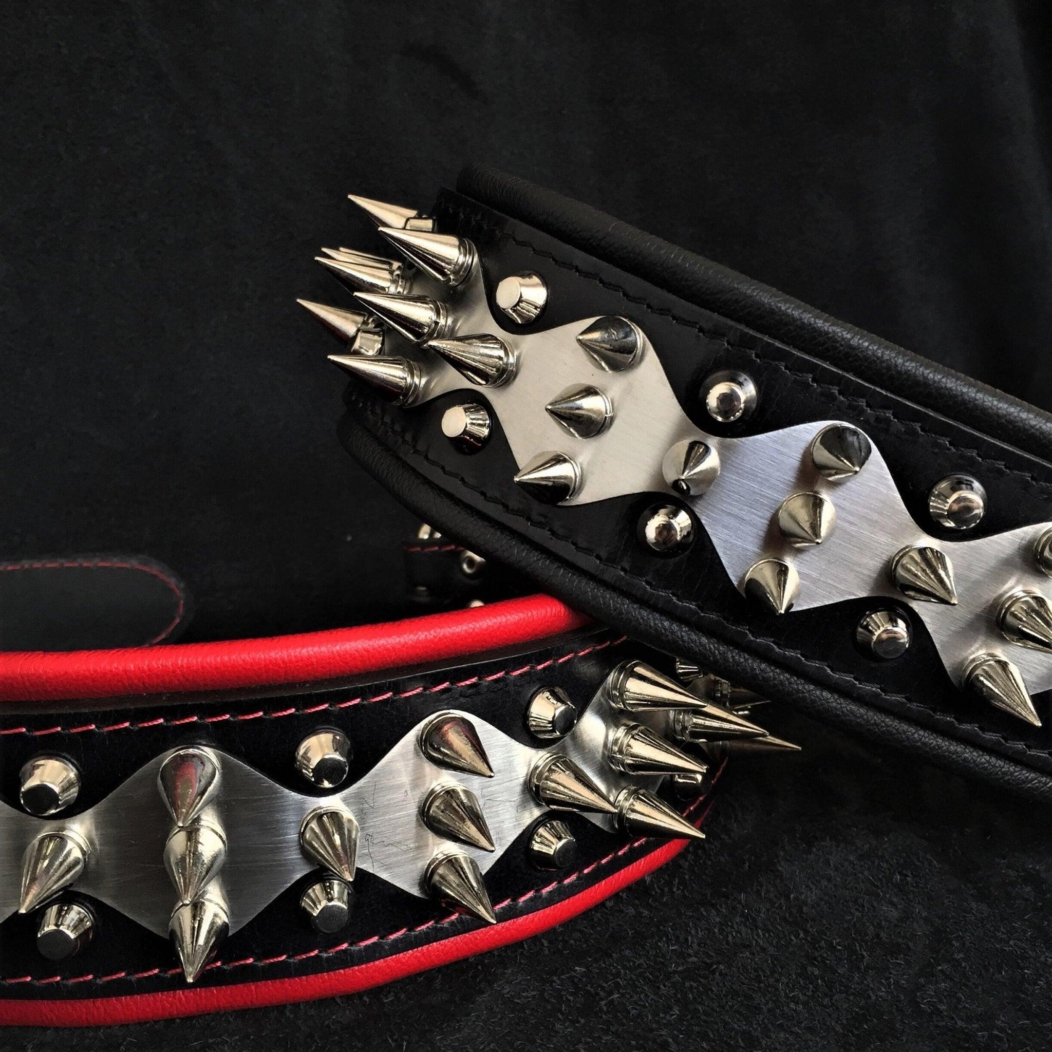 The "Steel" collar for dogs and cats
