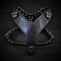 The ''Style'' harness Black Small to Medium Size para perros