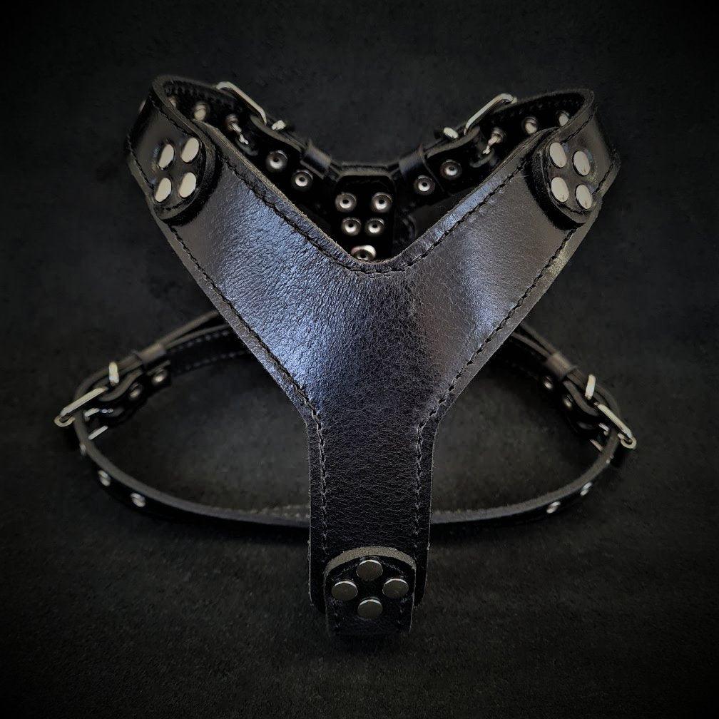 The ''Style'' harness Black Small to Medium Size para perros