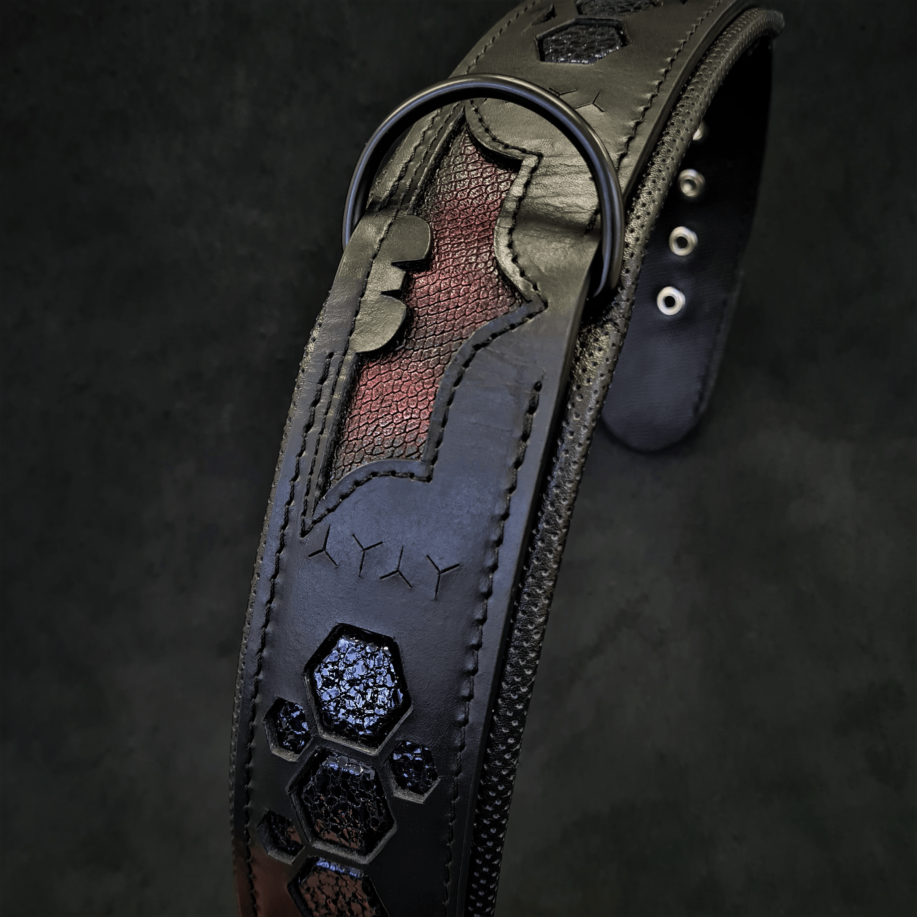 BATDOG collar fuer Hunde - Bild 1