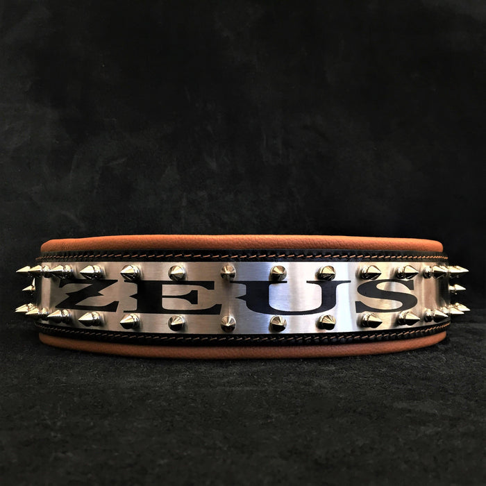 Collar Steel de cuero personalizado para perros