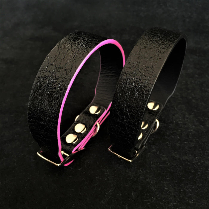 Collar Taurus para cachorros