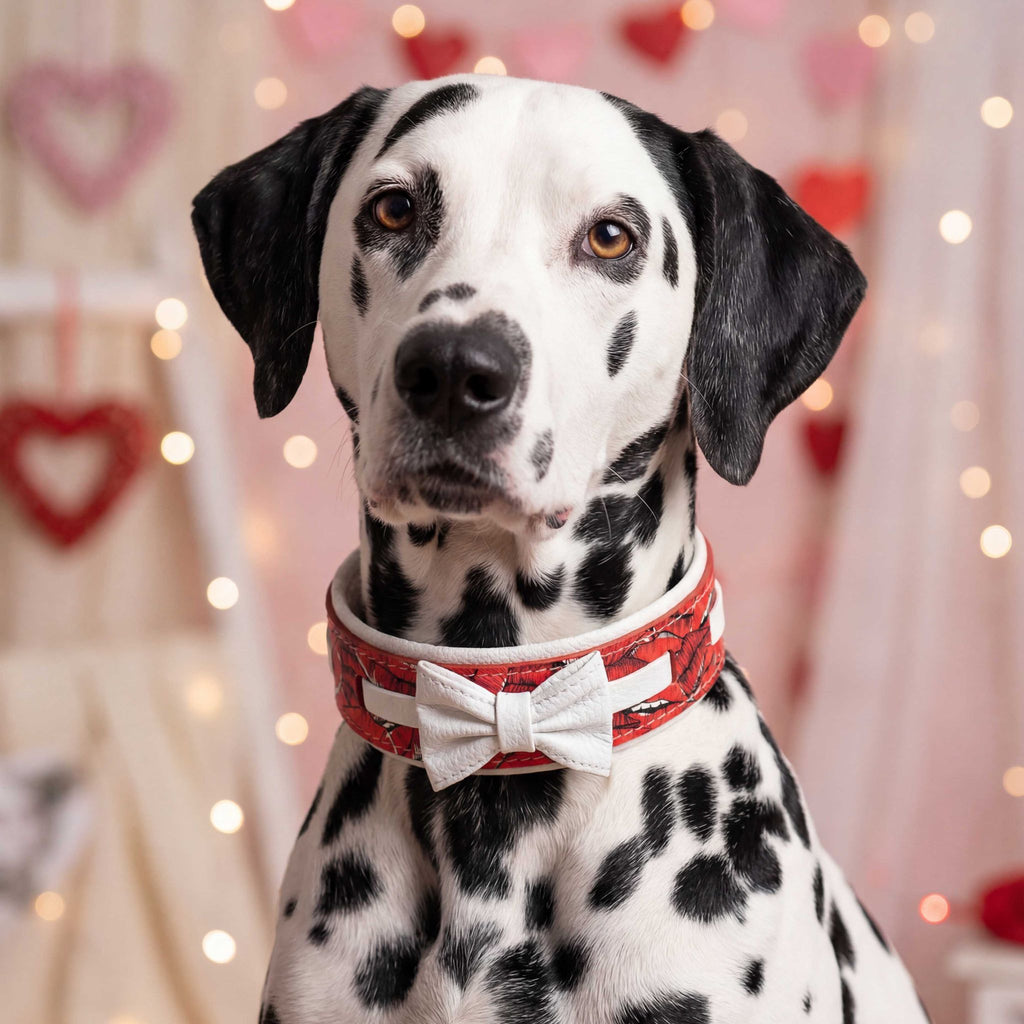 Valentine's Day Limited Collar pour chiens - image 3