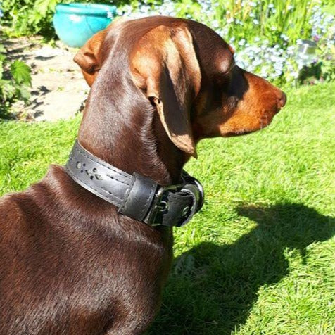 Eco Friendly Recycled Inner Tube Vegan Dog Collar-2