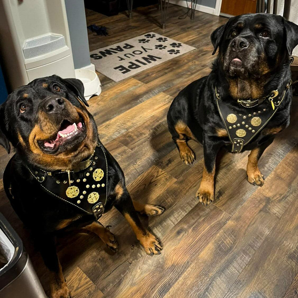 Seil-Kratzspielzeug weich aus Leder negro fuer Hunde - Bild 2