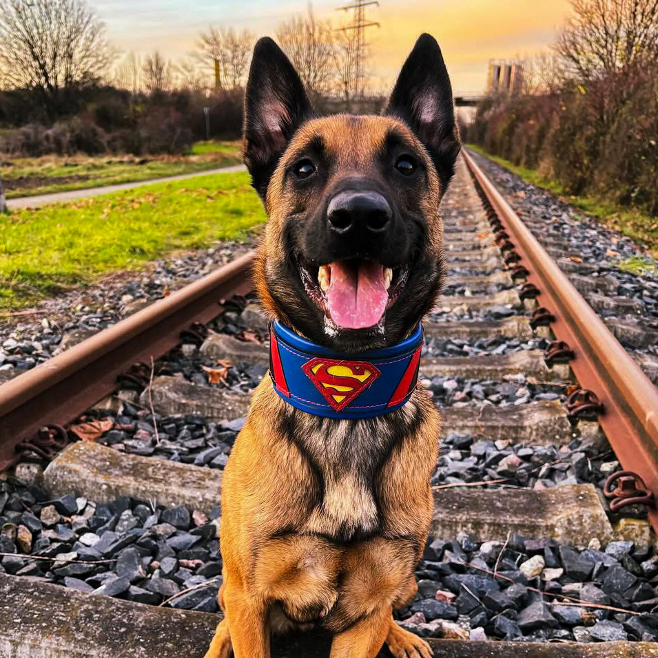 Collar Superdog para perros, vista 2
